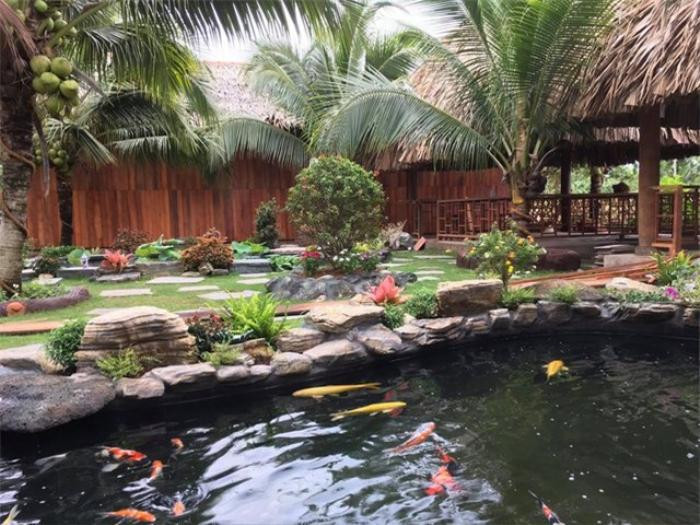 Đã mắt chiêm ngưỡng biệt phủ được xây từ 4000 cây dừa của lão nông miền Tây Ảnh 10