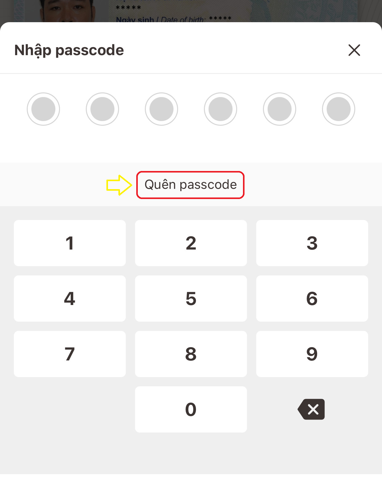 Cách lấy lại mã passcode cho ứng dụng VNeID