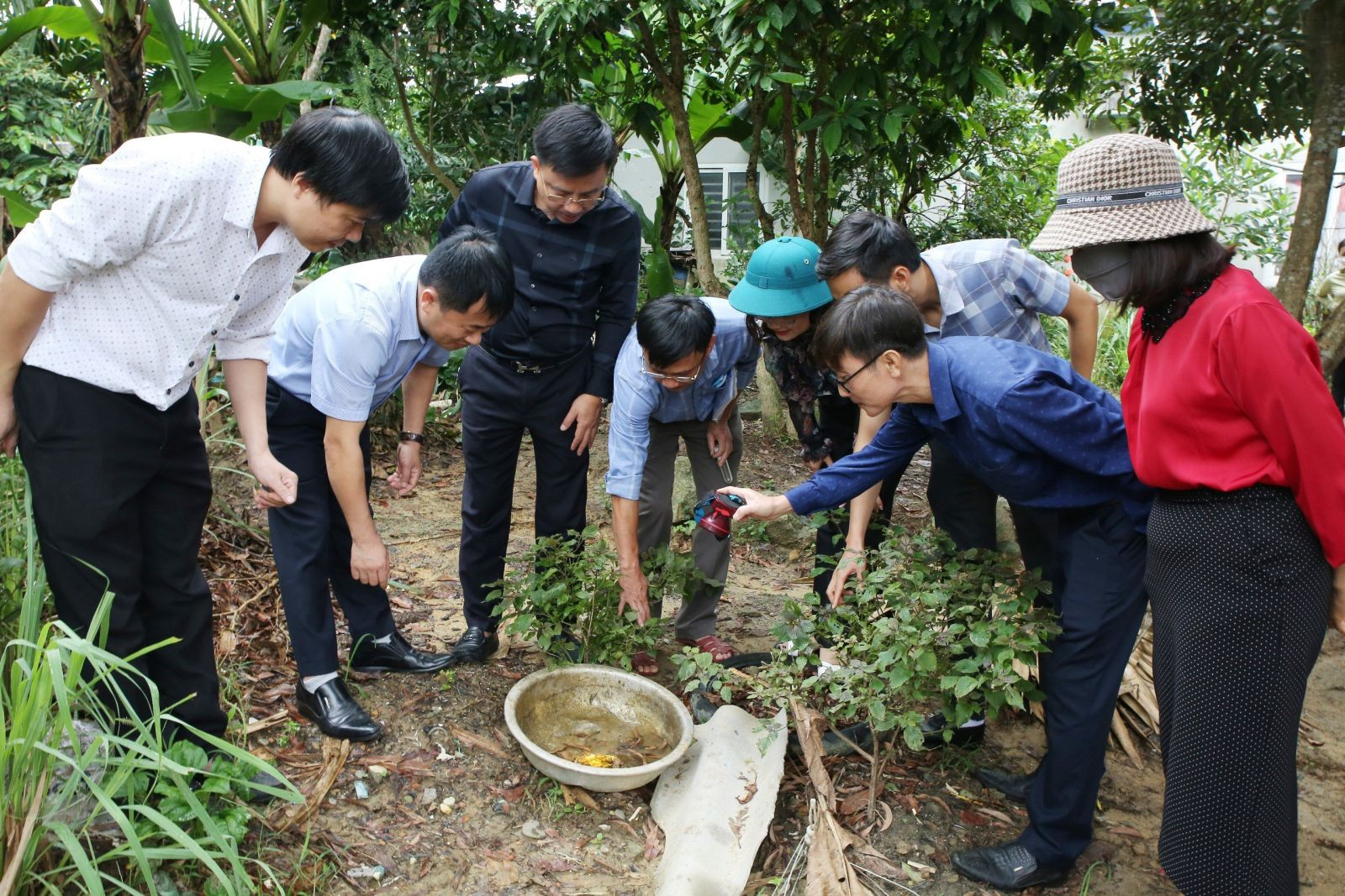 Hà Tĩnh xuất hiện ổ dịch sốt xuất huyết Dengue đầu tiên - Ảnh 2.