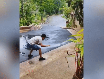 Thanh niên trổ tài 'tay không bắt rắn' và cái kết khiến dân tình cười ngất Ảnh 1