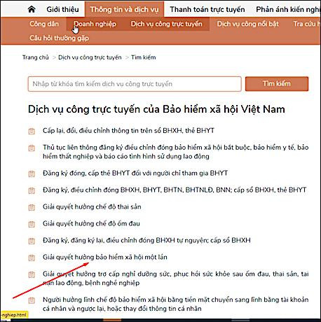 Hướng dẫn các bước giải quyết chế độ BHXH một lần trên cổng dịch vụ công