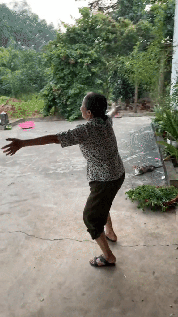 Con dâu thông báo mang thai, phản ứng của mẹ chồng khiến dân tình vui lây Ảnh 1
