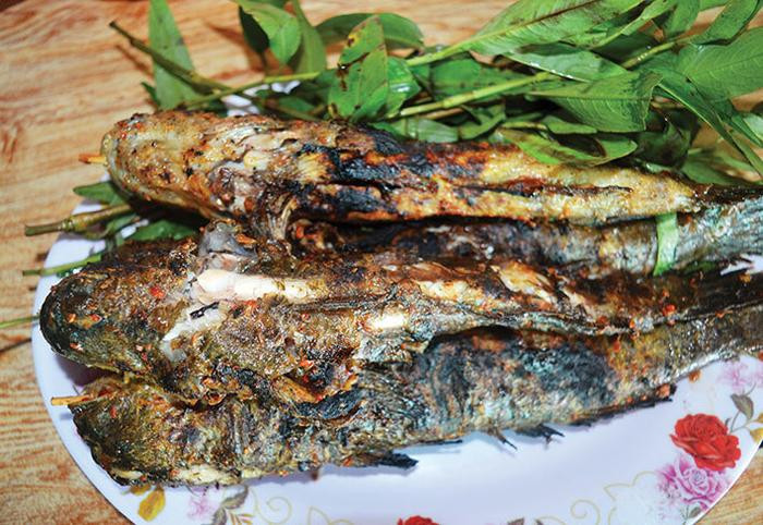 Độc lạ loài 'cá leo cây': Vẻ ngoài xấu xí nhưng lại là đặc sản nức tiếng Cà Mau Ảnh 10