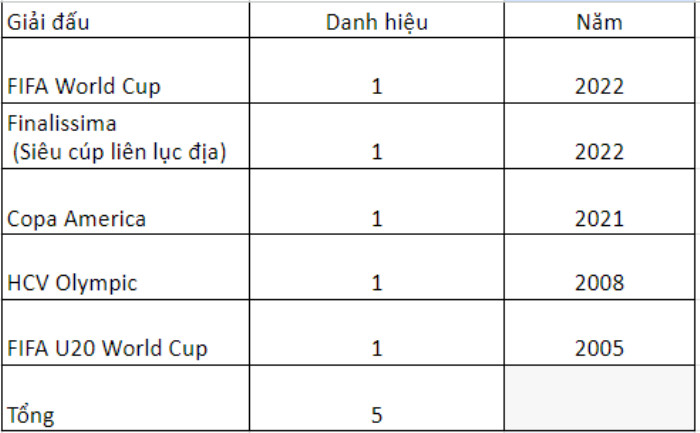 Tổng hợp các danh hiệu của Lionel Messi cho CLB và đội tuyển quốc gia? Ảnh 2