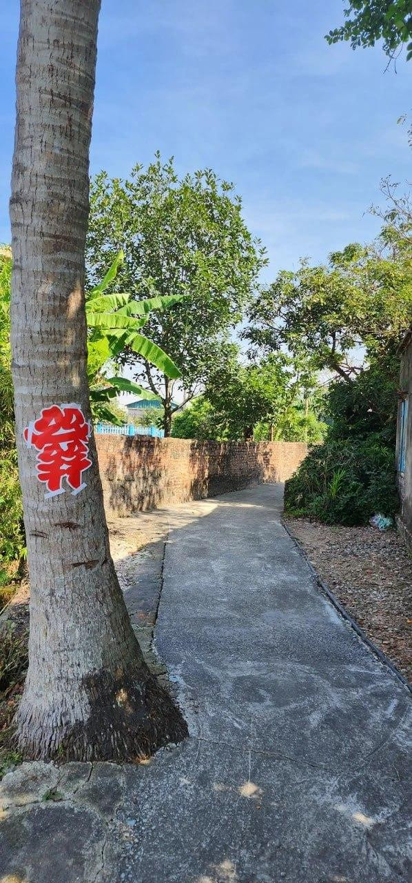 Thái Bình: Đối tượng chém cô dâu trong ngày cưới có dấu hiệu trầm cảm, thần kinh không ổn định