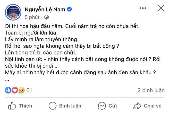 Ngày cuối năm, Lệ Nam ẩn ý chuyện 'thiếu nợ, bị người lớn lừa' Ảnh 2