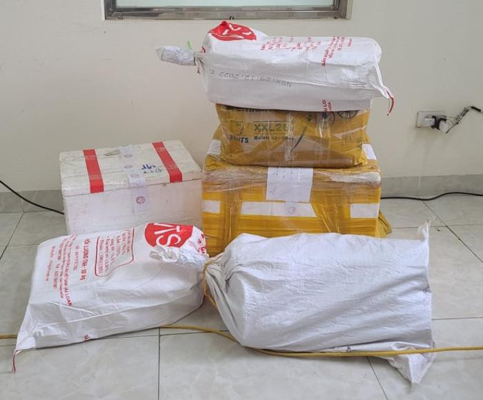 Cảnh tượng bất ngờ bên trong trang trại nuôi cá ở ngoại thành Hà Nội Ảnh 2