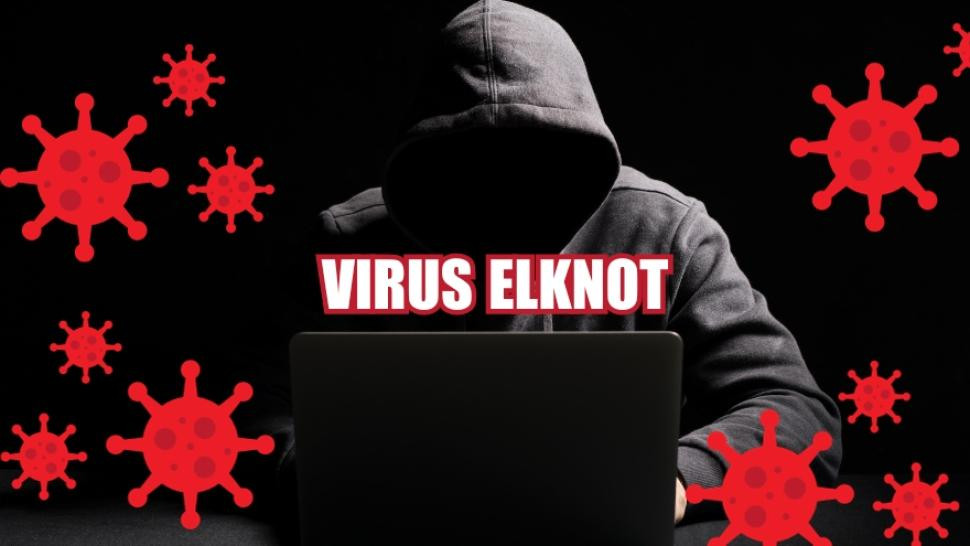 Cảnh báo xuất hiện nhiều biến thể virus Elknot nhắm tới máy chủ Linux Việt Nam