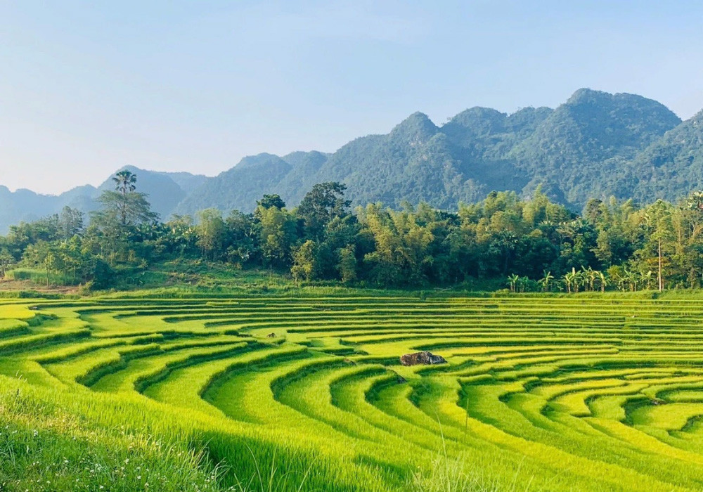 Báo quốc tế gợi ý ghé thăm những điểm đến "tiềm ẩn" của Việt Nam - Ảnh 4.