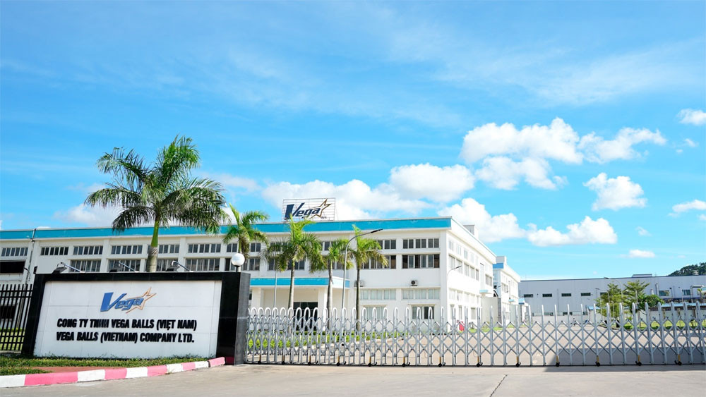 50 công nhân nhập viện, Công ty TNHH Vega Balls,