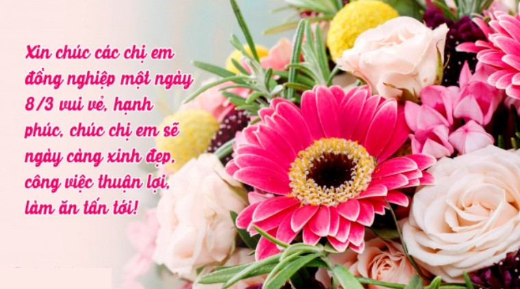 Những lời chúc ngày 8/3 cho đồng nghiệp nữ hay, ấn tượng, ý nghĩa