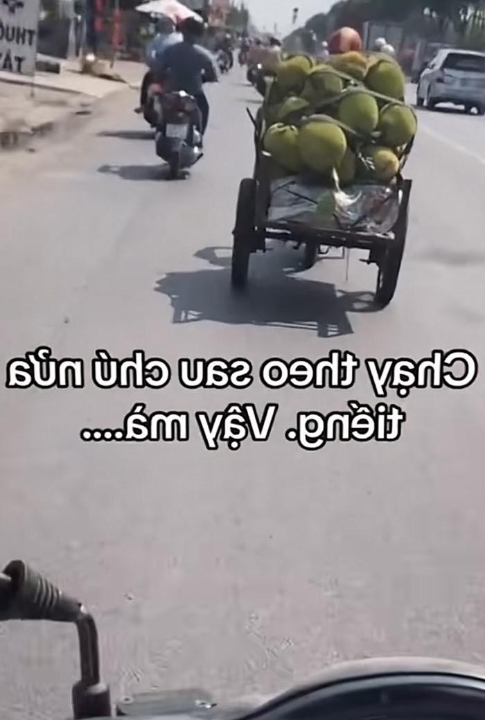 Thấy quả mít sắp rơi, cô gái chạy theo 30 phút để nhặt nhưng cái kết vô cùng 'đắng' Ảnh 1