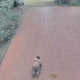 Thích thả điều, bé trai quỳ lạy xin ông trời điều này khiến dân tình cười ngất Ảnh 1