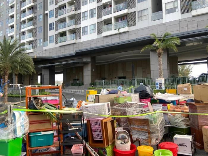 Cô gái nuôi 19 con chó bị cả chung cư tiễn cùng hàng loạt đồ đạc ngay trong đêm Ảnh 2
