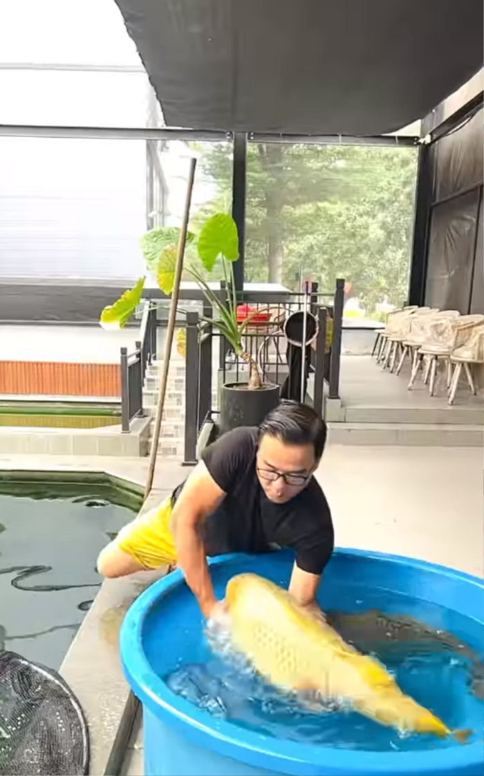 Vua cá Koi Thắng Ngô 'bế các em' giữa lúc vợ cũ Hà Thanh Xuân nắm tay 'người ấy' Ảnh 4