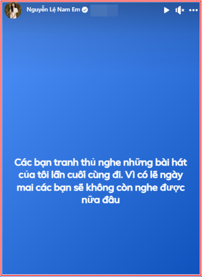 Nam Em sẽ giải nghệ, ngừng ca hát? Ảnh 1