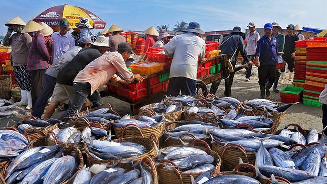 Mức phạt đối với hành vi khai thác thủy sản không có giấy phép