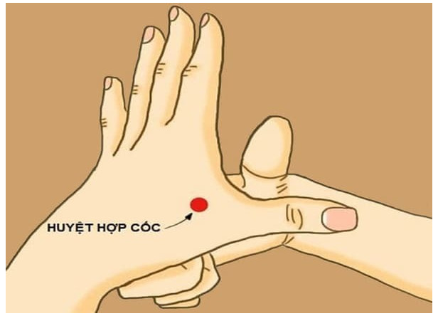 Cách tự bấm huyệt chữa bệnh tại nhà | Sức khỏe Việt