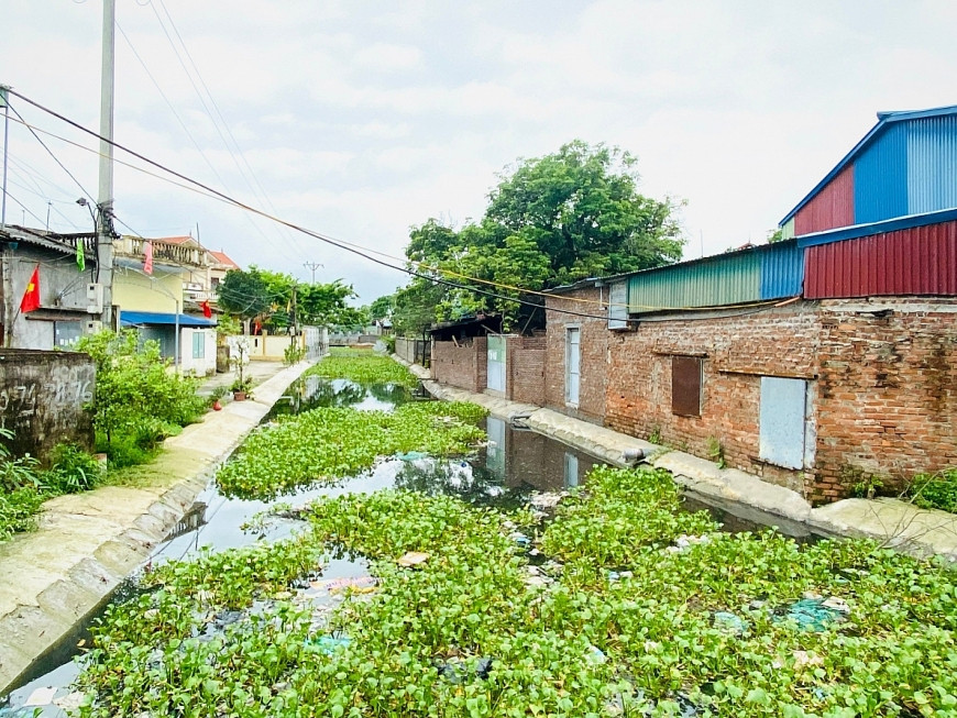 Tường bao có dấu hiệu lấn hành lang thủy lợi của hộ gia đình ông Trần Văn Sơn. Căn nhà đang xây dựng rộng gần 1.000m2 trên đất nông nghiệp. 2. Ngày 8/3/2024, UBND xã Thái Phương đã có Báo cáo số: 15/BC-UBND về việc giải quyết đơn tố cáo công chức địa chính xã. 3.