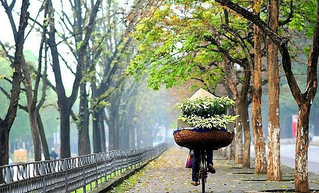 Dự báo thời tiết ngày 15/6/2024: Hà Nội ngày nắng nóng, chiều tối mưa to