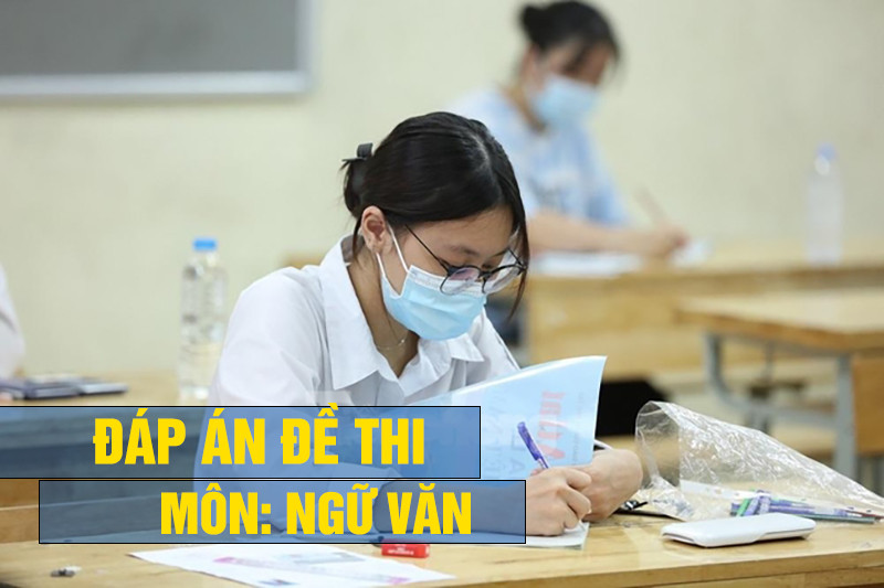 tm-img-alt