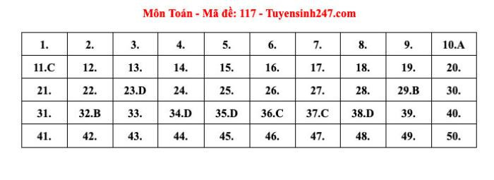 Đáp án tham khảo môn Toán thi tốt nghiệp THPT năm 2024 Ảnh 3