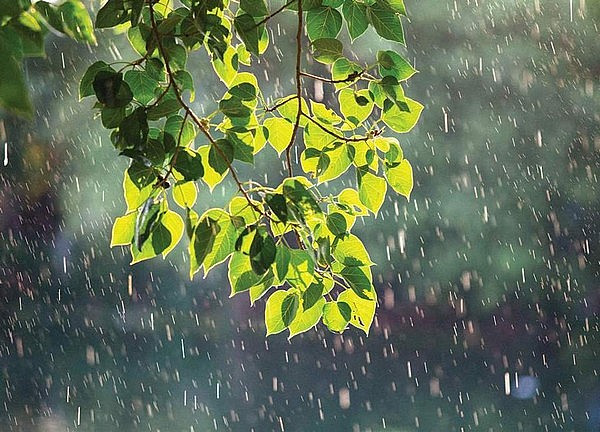 Dự báo thời tiết ngày 3/7/2024: Hà Nội mưa to cục bộ, trời mát