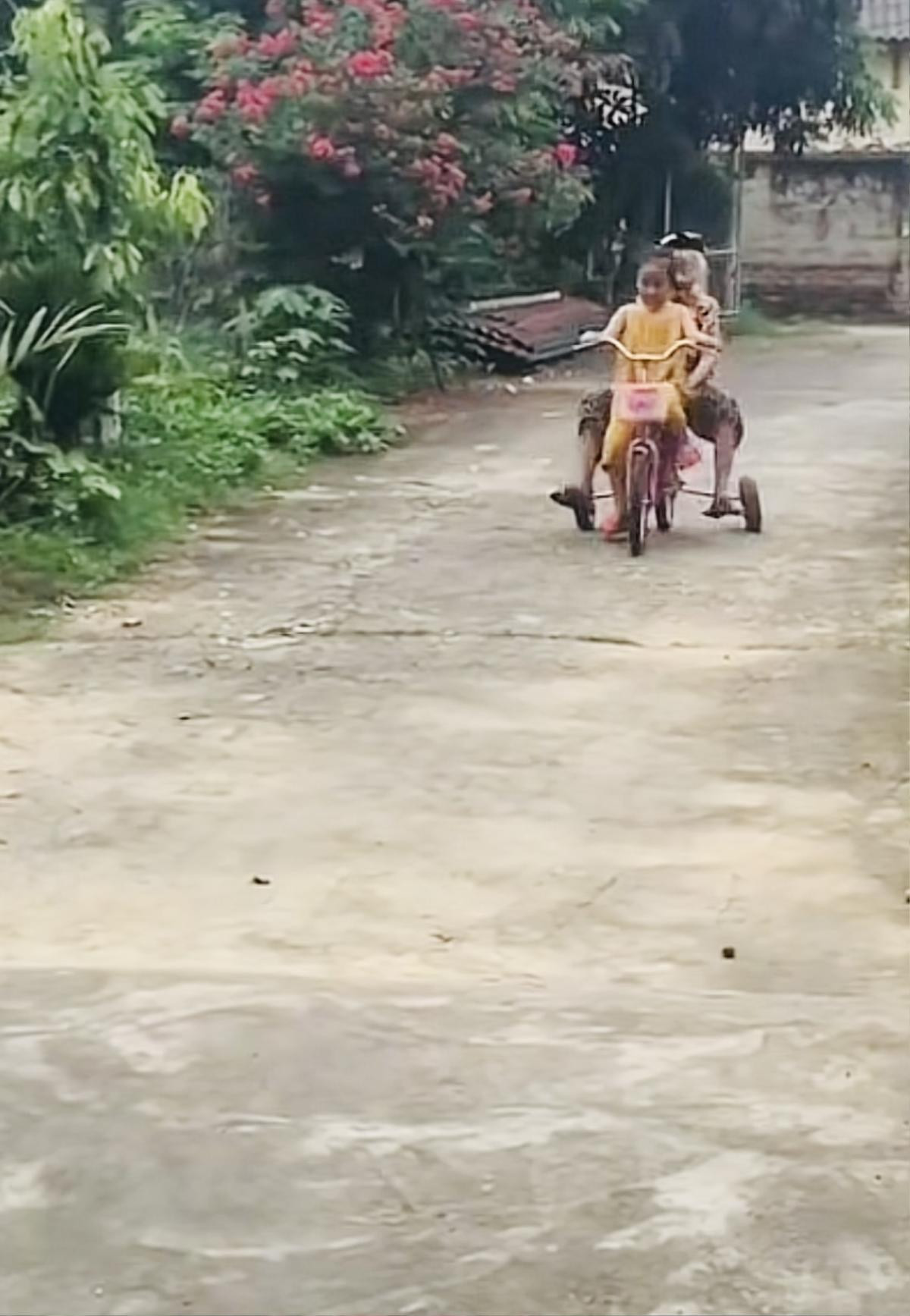 Hài hước khoảnh khắc cụ bà 100 tuổi can đảm ngồi sau 'chiến mã' của búp măng non Ảnh 1