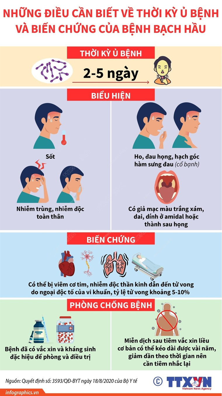 Những vaccine nào có thể phòng, chống được bệnh bạch hầu? ảnh 1