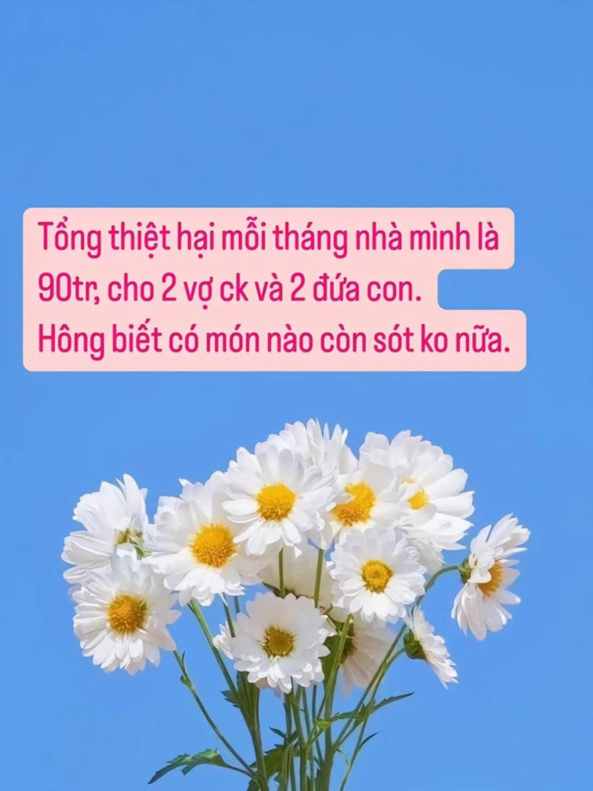 Mẹ Hà Nội chi tiêu gần 100 triệu/tháng cho 4 người, dân tình rần rần thắc mắc 1 chi tiết? Ảnh 2