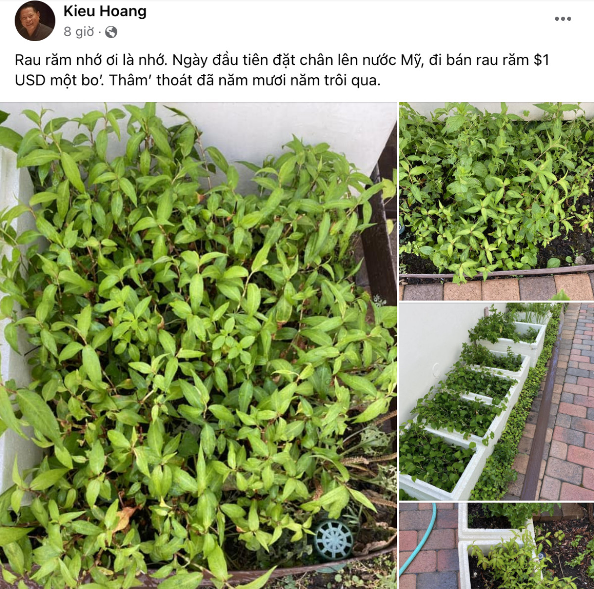 Tỷ phú từng yêu Ngọc Trinh lần đầu tiết lộ quá khứ bán rau răm Ảnh 1