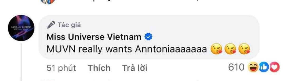 Động thái mới nhất từ phía Miss Universe Vietnam 2024 Ảnh 1