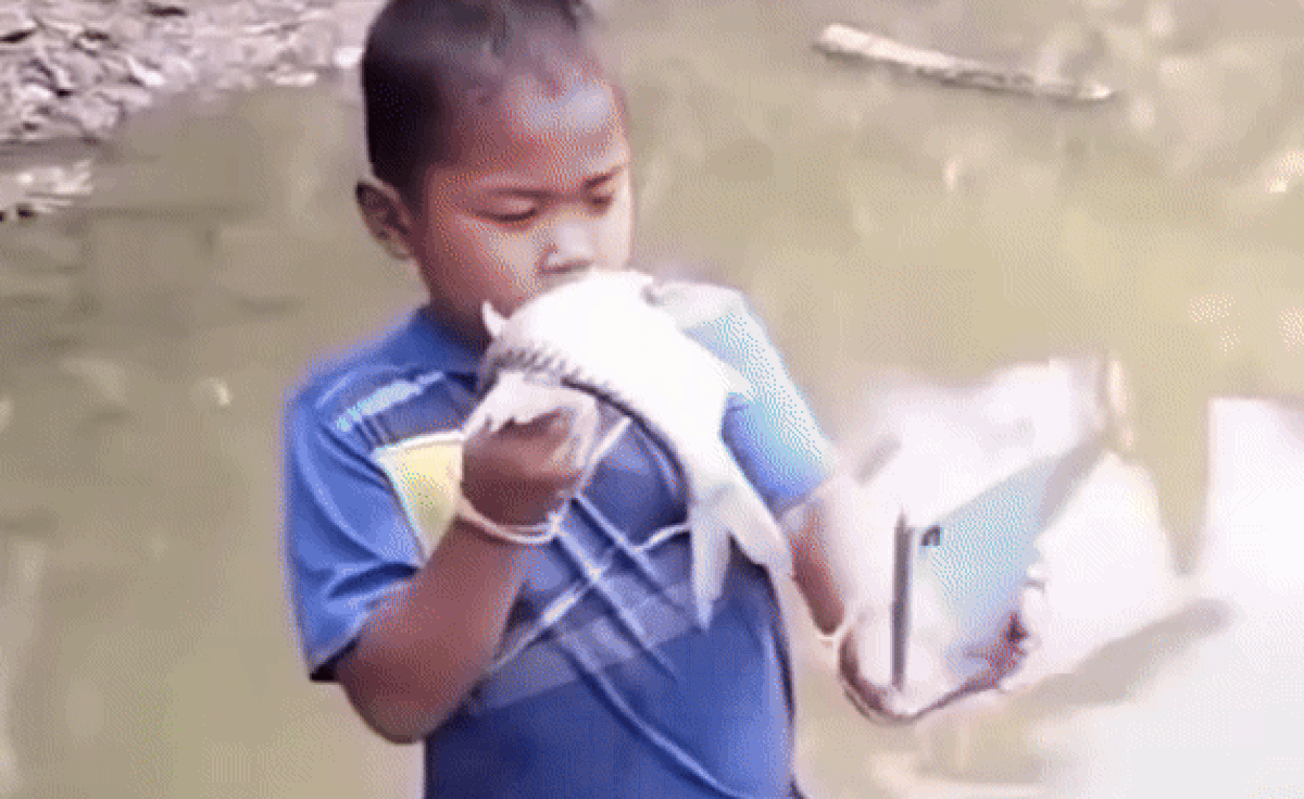 Bắt được con cá to, 'búp măng non' chụp ảnh rồi phóng sanh luôn chiếc điện thoại Ảnh 1