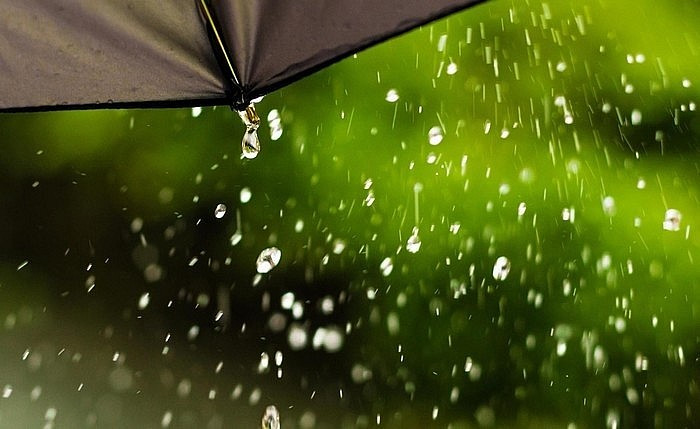 Dự báo thời tiết ngày 17/8/2024: Hà Nội có mưa rào vào chiều tối