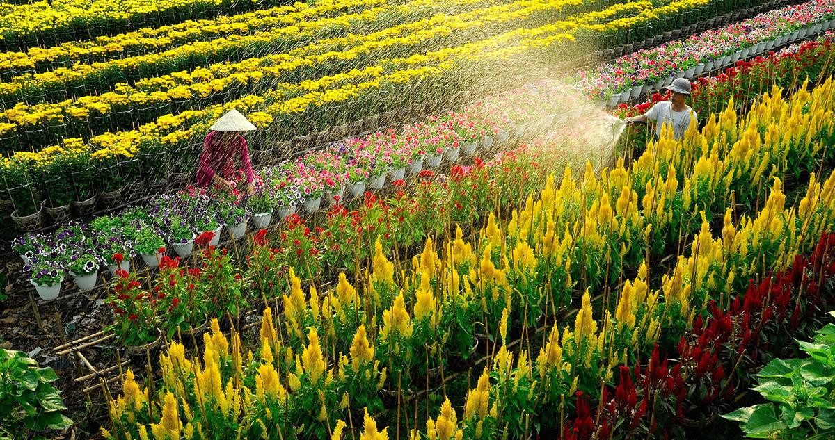 'Trốn thành phố' về miền Tây đi chơi đâu dịp lễ 2/9 này? Ảnh 9