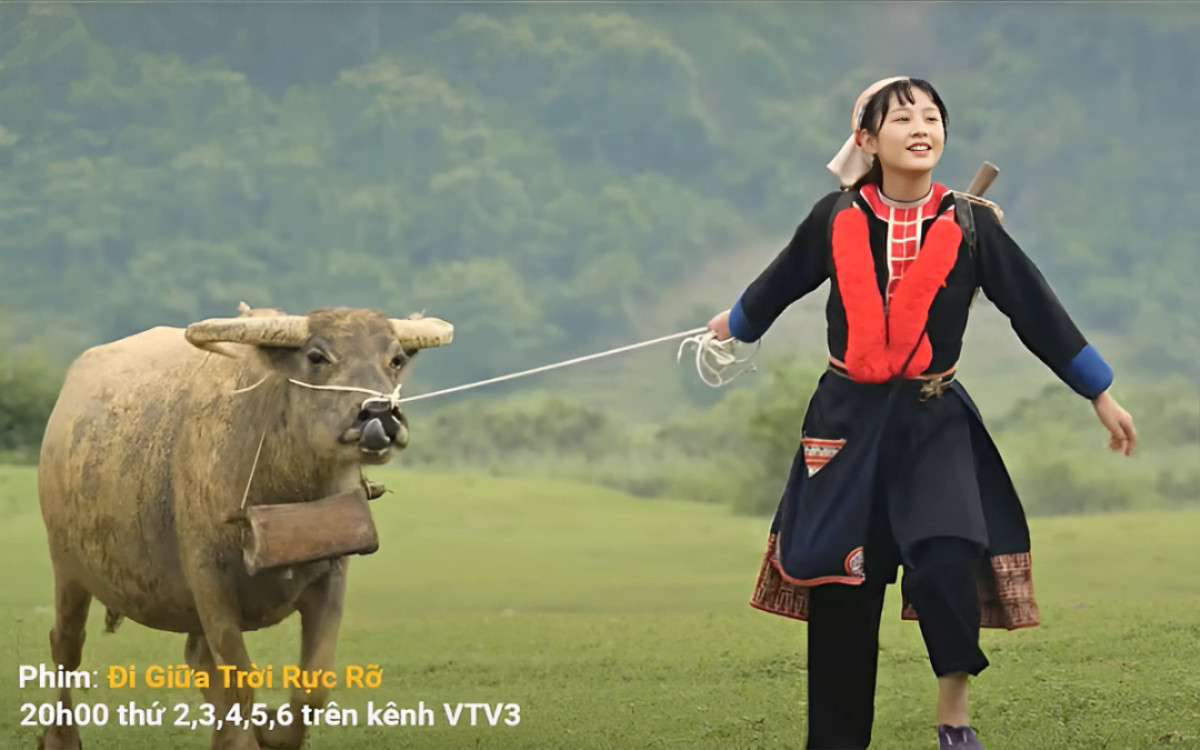 Đi Giữa Trời Rực Rỡ: Làn gió mới thú vị nhưng ngập tranh cãi Ảnh 1