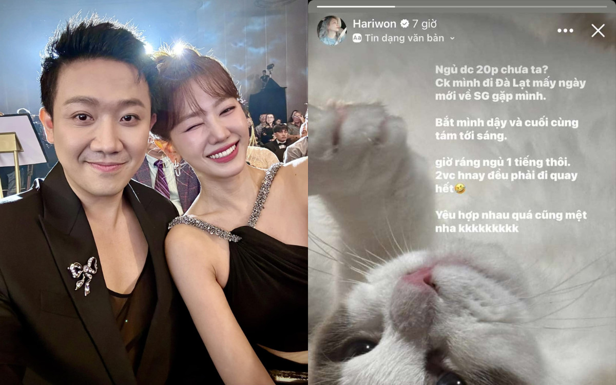 Hari Won cảm thấy mệt mỏi vì Trấn Thành Ảnh 1