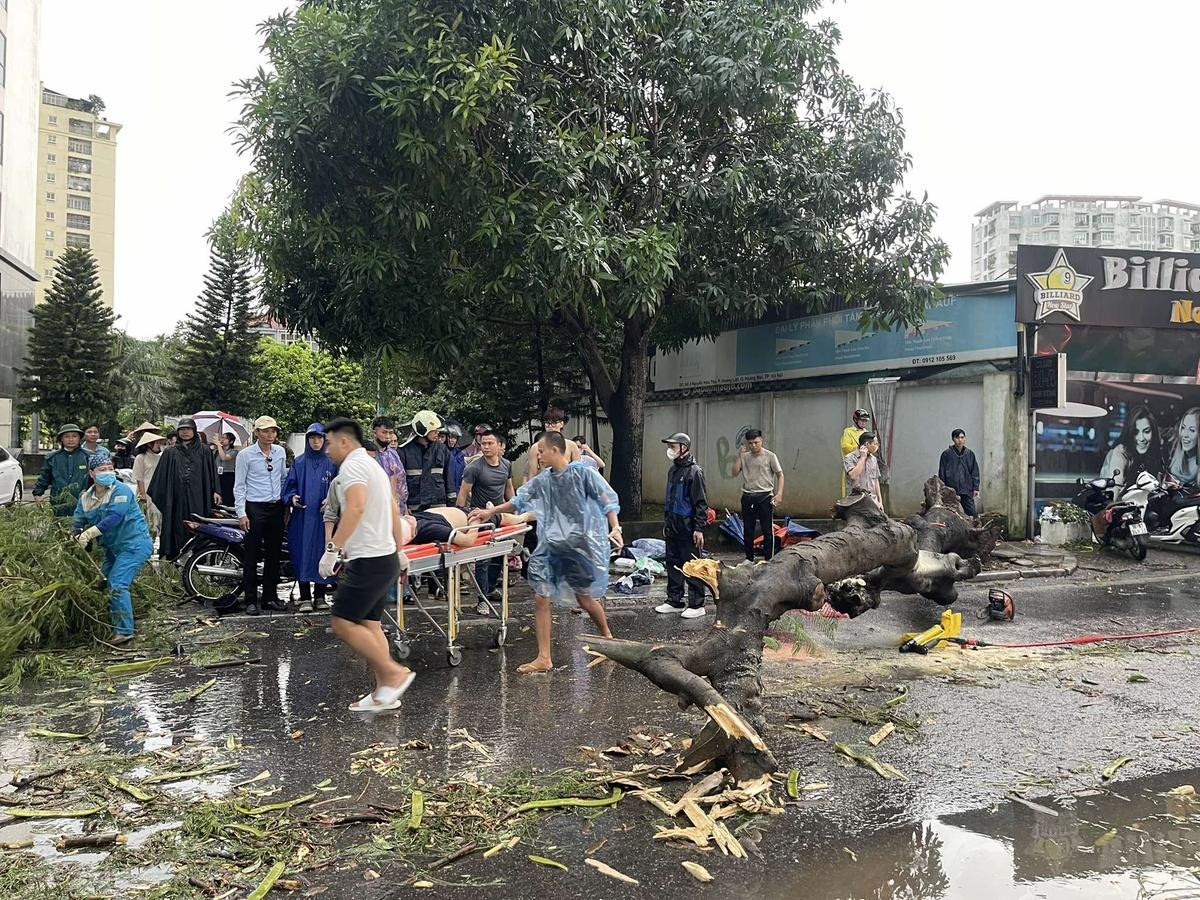 Hiện trường vụ cây bật gốc đè 2 người thương vong vì giông lốc bão Yagi Ảnh 2