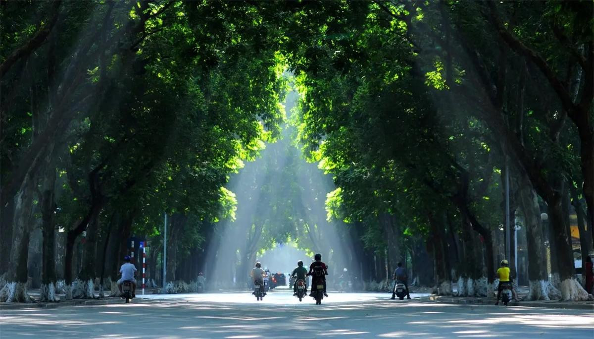 Thời tiết miền Bắc đón tin vui: Mưa lớn chấm dứt, toàn miền có nắng Ảnh 1
