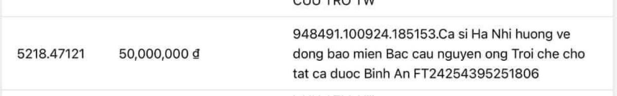 Ca sĩ Hà Nhi nói gì khi nhận gạch đá ủng hộ người dân bão lũ 1.000 đồng? Ảnh 5