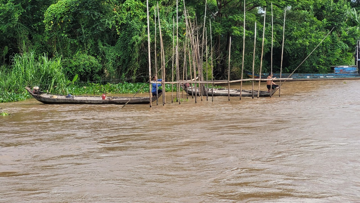 Cảnh báo lũ trên sông Cửu Long, nhiều tỉnh miền Tây nguy cơ ngập lụt Ảnh 1