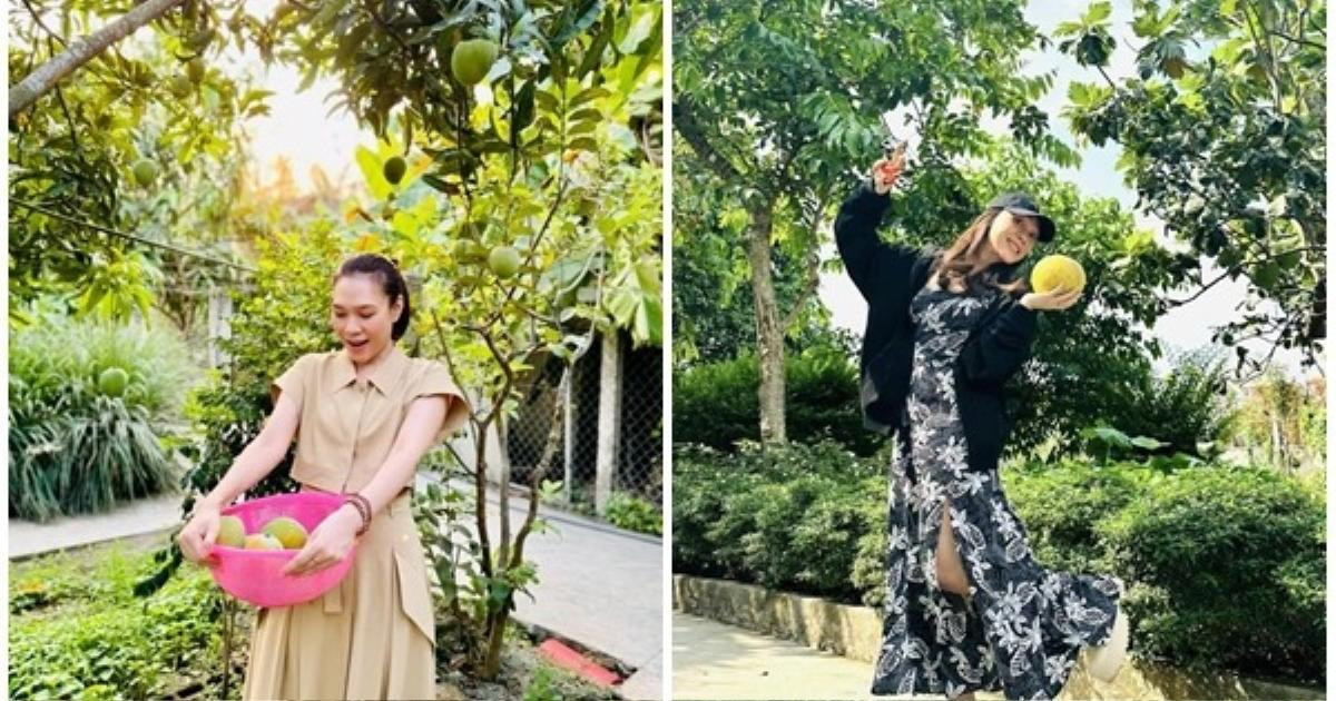 Soi khối tài sản cực khủng của Mỹ Tâm: Bất động sản trăm tỷ, công ty với doanh thu chục tỷ mỗi năm Ảnh 5
