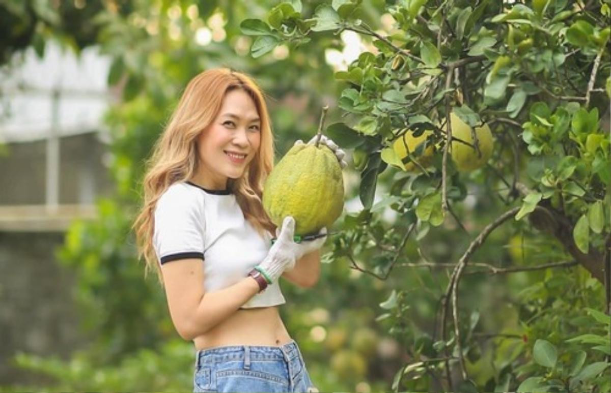 Soi khối tài sản cực khủng của Mỹ Tâm: Bất động sản trăm tỷ, công ty với doanh thu chục tỷ mỗi năm Ảnh 9