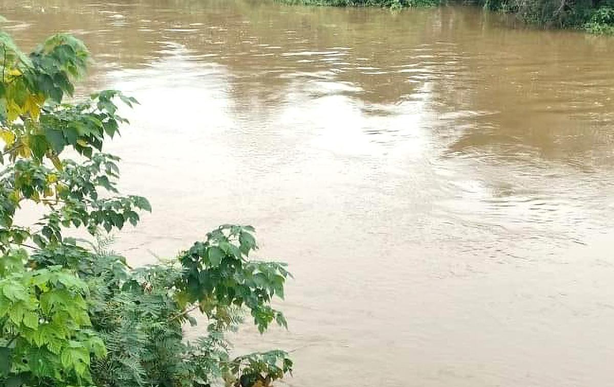 Thông tin mới nhất vụ cháu bé sơ sinh bị mẹ bỏ thùng xốp thả trôi sông ở Nghệ An Ảnh 3