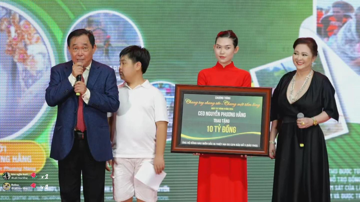 Bà Nguyễn Phương Hằng tuyên bố lý do ngừng livestream Ảnh 1
