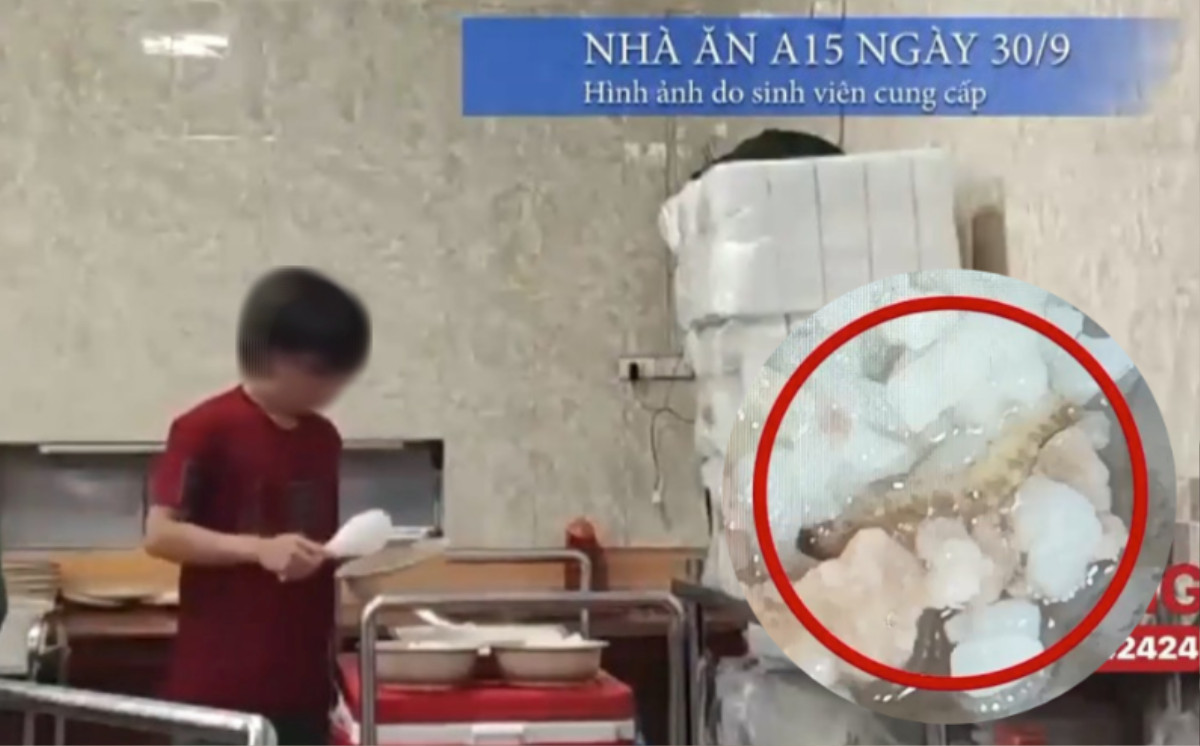 Vụ tân sinh viên phải ăn cơm canh thừa, có nhiều dị vật: ĐH Bách khoa Hà Nội lên tiếng Ảnh 1