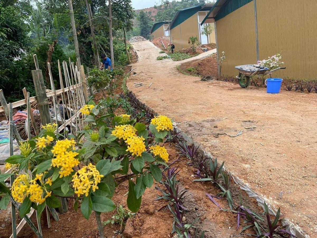 Hoa đã nở tại Làng Nủ Ảnh 1
