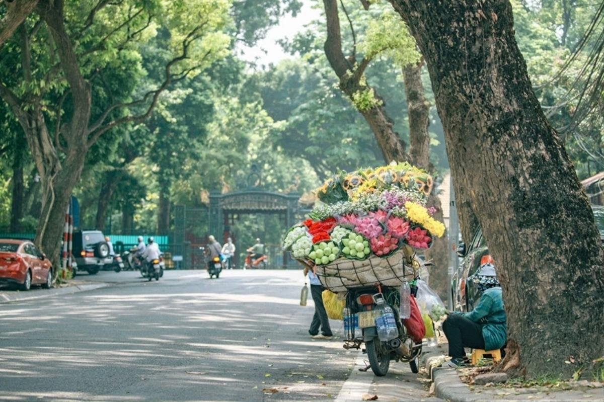 Dự báo thời tiết hôm nay (25/10): Bắc bộ nắng ráo, Nam bộ mưa dông Ảnh 1
