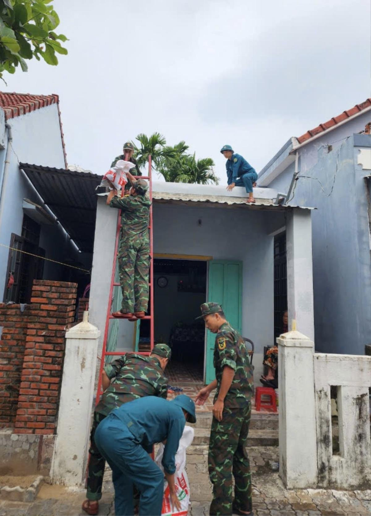 Ứng phó bão Trami, Đà Nẵng lập chốt chặn, cấm lên bán đảo Sơn Trà từ 5 giờ chiều nay Ảnh 4