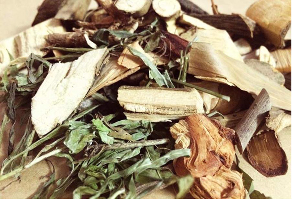 Một số loại cây thuốc quý chữa bệnh ung thư và lưu ý khi sử dụng